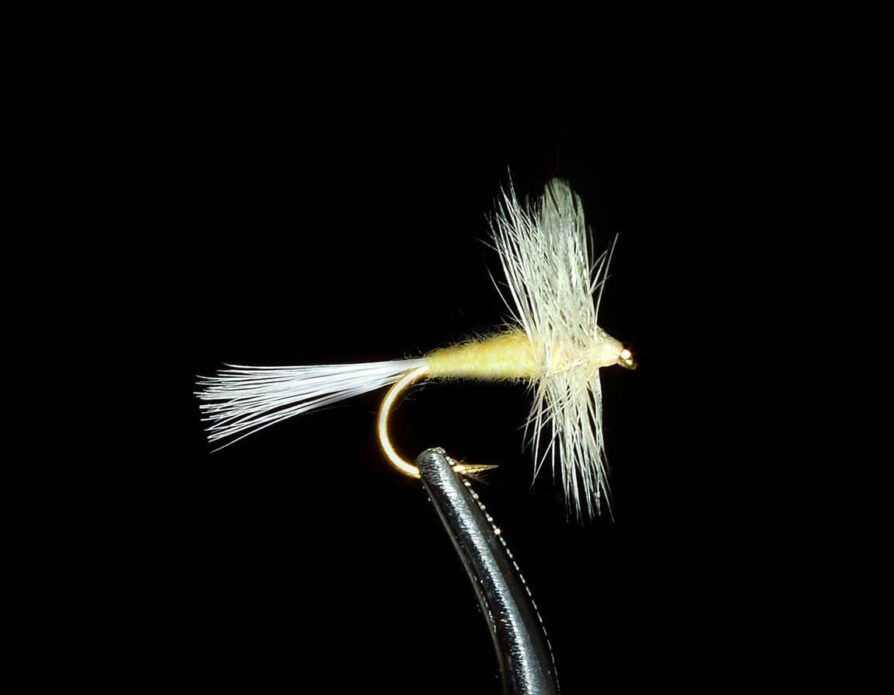 Dry Fly Assortment